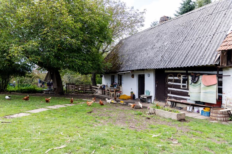Dům a Farma v Nouzově-Litiči - Pozemky 13.269 m2, z toho 3288 m2 stavební-2